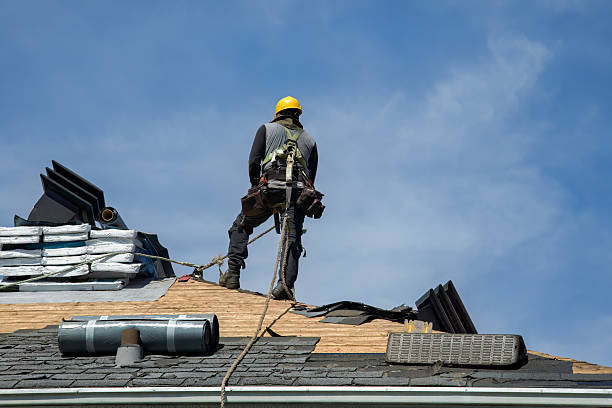 Professional Roof Replacement technician working in Harmans, MD